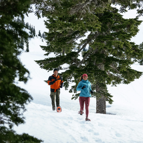 Race Wave (20) by Northern Lites Snowshoes