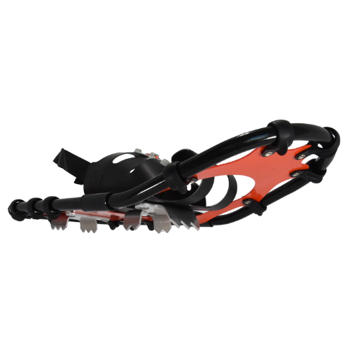 Race Wave (20) by Northern Lites Snowshoes