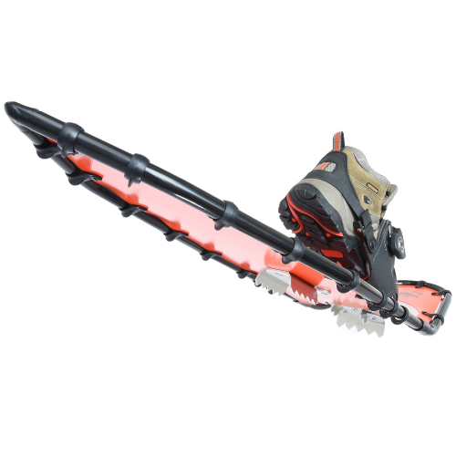 Tundra (32) by Northern Lites Snowshoes